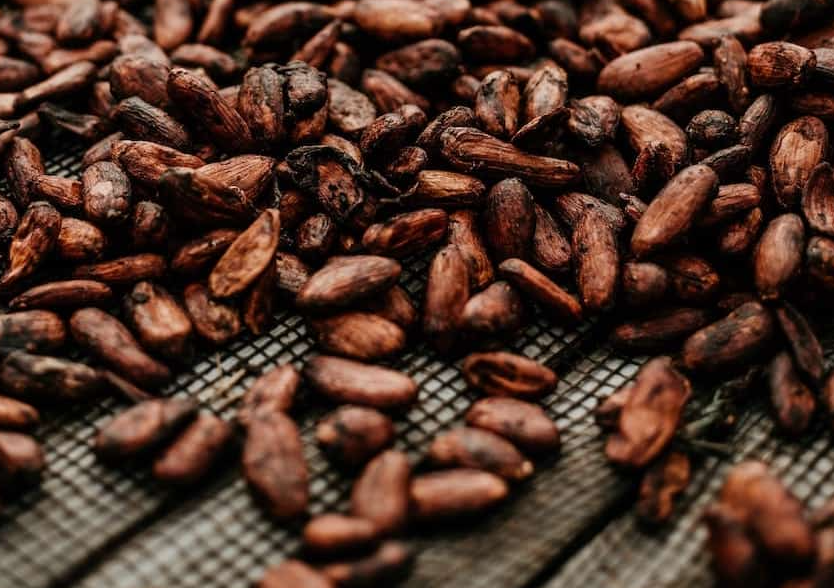 Madagscar Cacao Beans (Crushed)