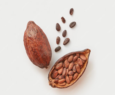 Madagascar Criollo-Only Cacao Beans (Unroasted)