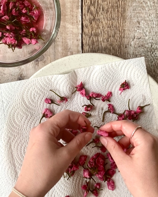 Cherry Blossom Petal Paste