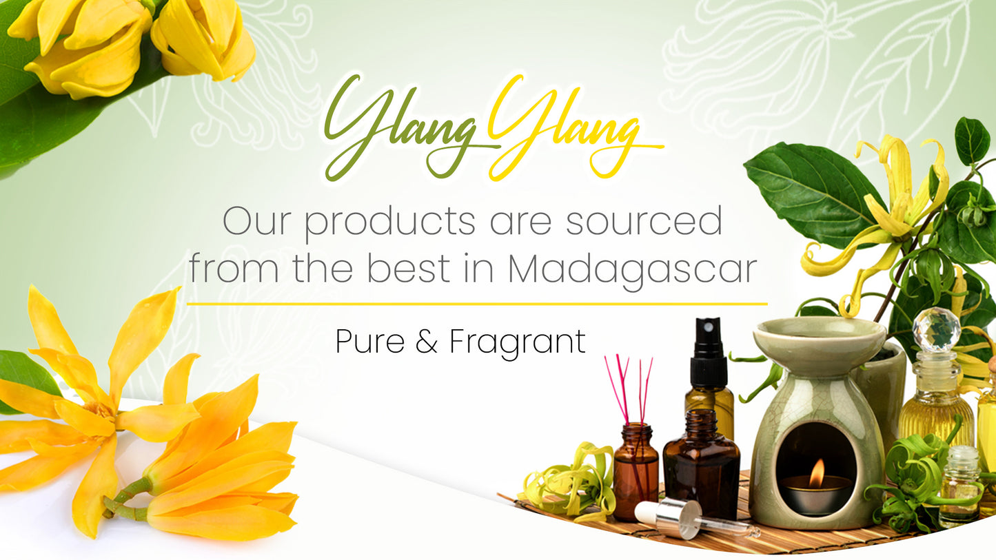 | YY - Ylang Ylang Oil Grade: 2 II - Essential Oil from Madagascar Healthy Flowers