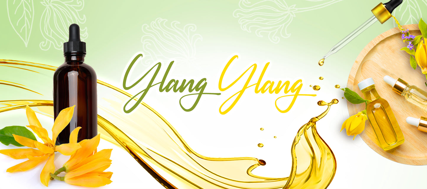 | YY - Ylang Ylang Oil Grade: Extra - Essential Oil from Madagascar Healthy Flowers (The "King" of Ylang Grade)
