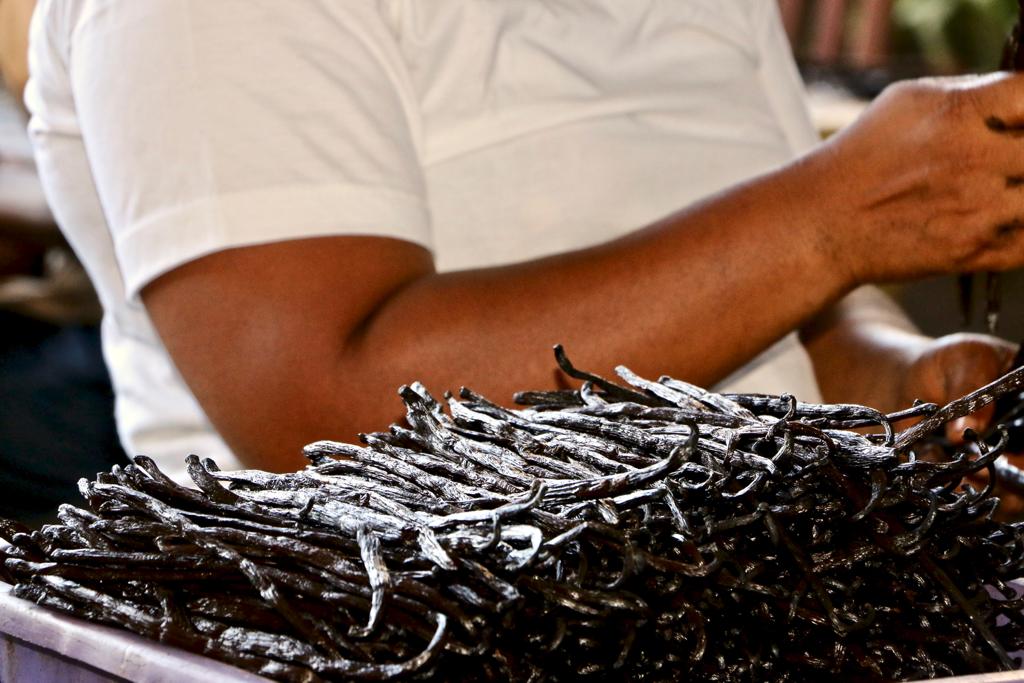 100% Pure Vanilla Excellent Extract Organic - Madagascar-Made Bourbon Liquid Vanilla (From Grade A Madagascar Vanilla Beans)