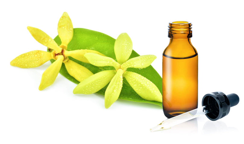 | YY - Ylang Ylang Oil Grade: Extra - Essential Oil from Madagascar Healthy Flowers (The "King" of Ylang Grade)