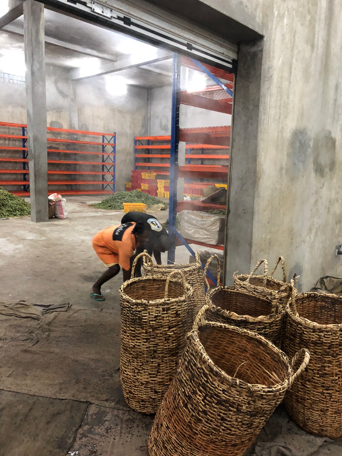 Madagascar Grade A Bourbon Vanilla Beans | Organic Select  (With Our Own Farm Tattoos & Top-Rated Taste)