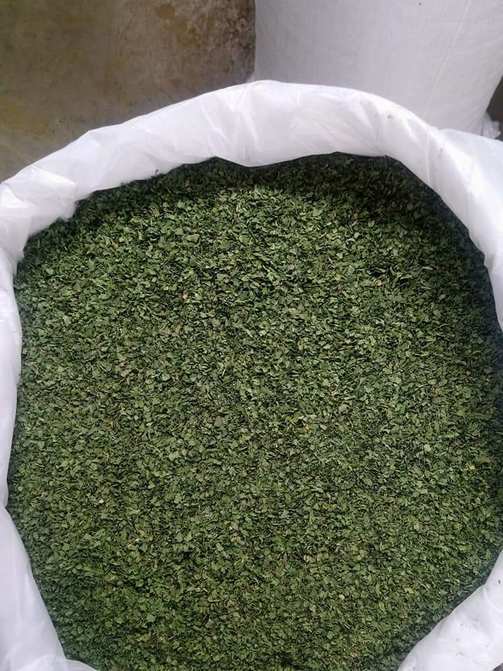 100% Pure Mentha - Piperita (Peppermint) Leaves – Ground Powder