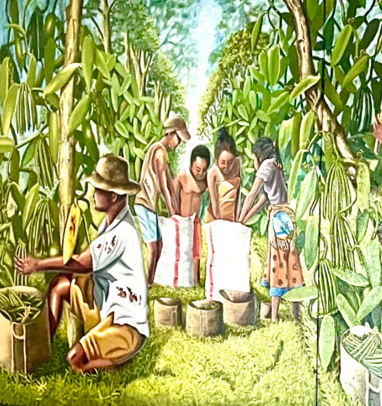 100% Pure Vanilla Excellent Extract Organic - Madagascar-Made Bourbon Liquid Vanilla (From Grade A Madagascar Vanilla Beans)