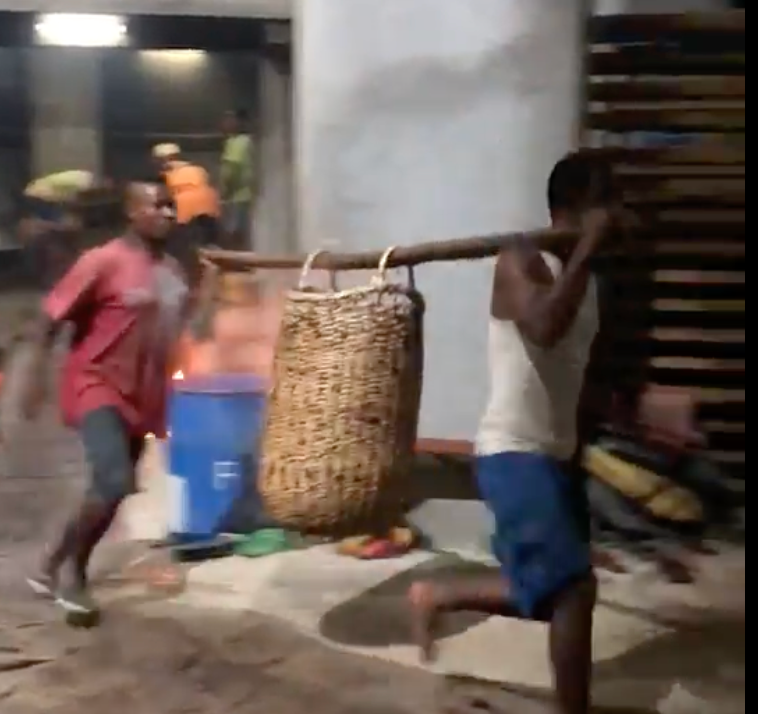 Madagascar Grade A Bourbon Vanilla Beans | Organic Select  (With Our Own Farm Tattoos & Top-Rated Taste)