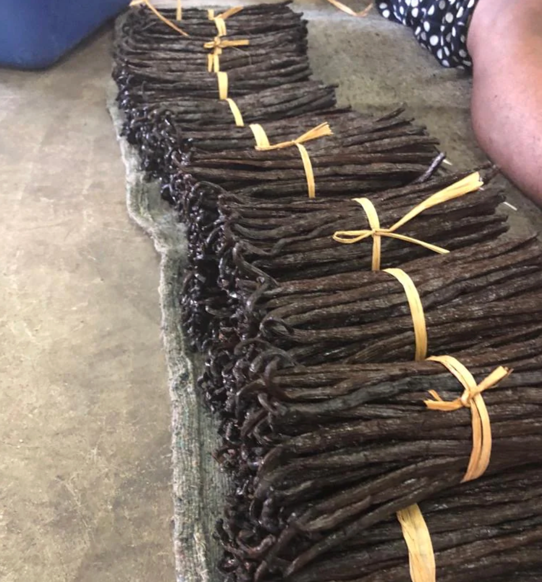 Madagascar Grade A Bourbon Vanilla Beans | Organic Select  (With Our Own Farm Tattoos & Top-Rated Taste)