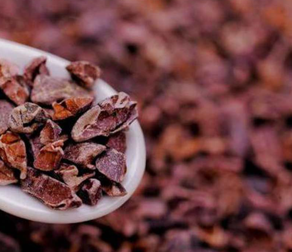 Madagascar Criollo-Only Cacao Nibs (Whole Nibs)