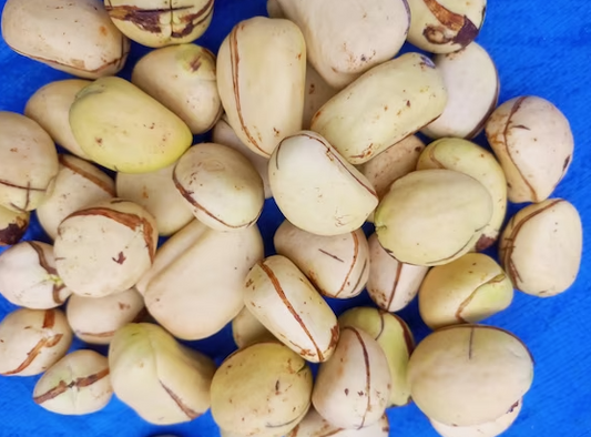 White Kola Nut