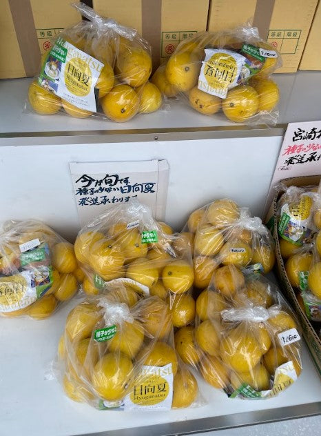 Umehara Cut Dried Yuzu