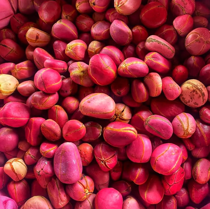 Red Kola Nut
