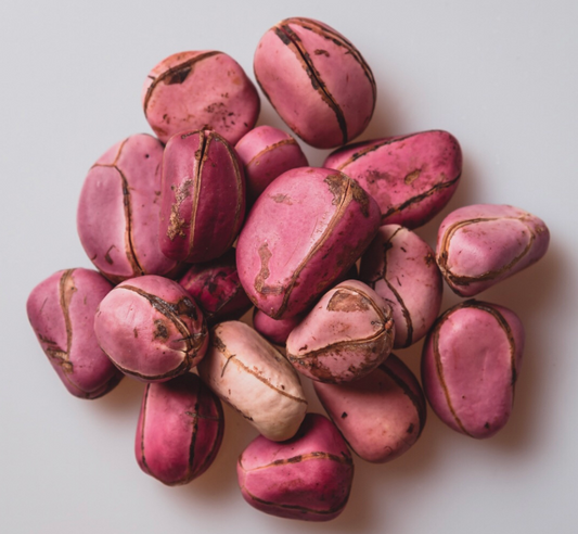Red Kola Nut