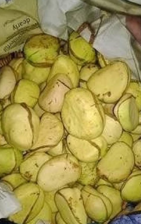 Green Kola Nut