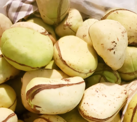 Green Kola Nut