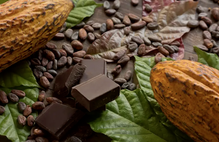 Madagascar Cacao Mass