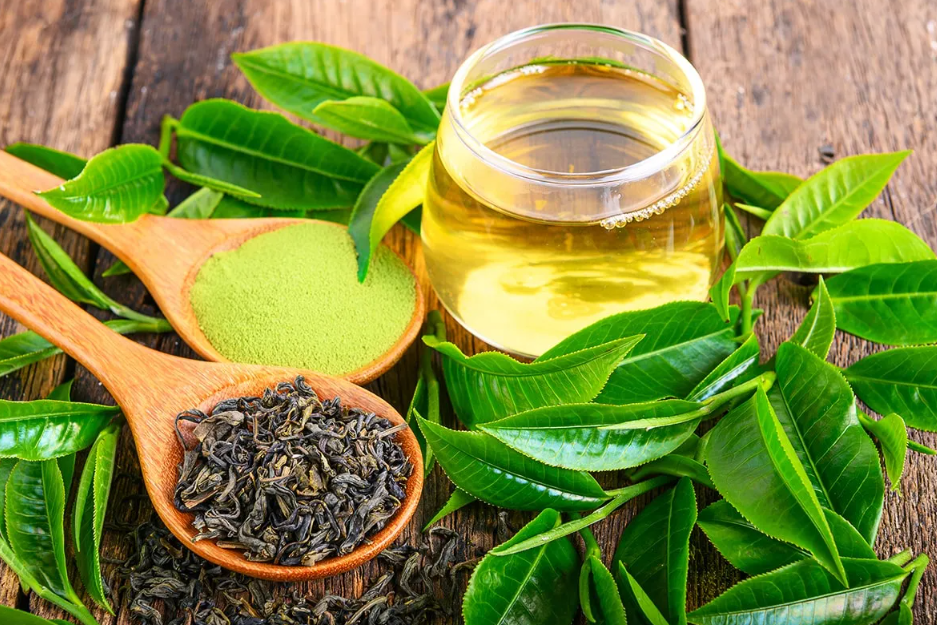 Kola Tea (Blend - Mixed Kolas with green tea)