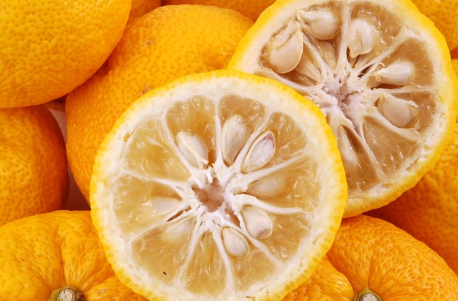 Yuzu Fresh Fruit Juice