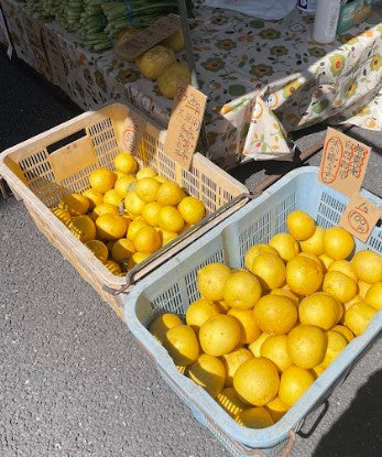 Umehara Cut Dried Yuzu