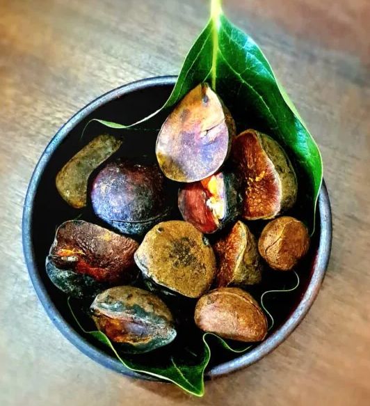 Kola Tea (Blend - Mixed Kolas with green tea)