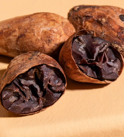 Madagascar Criollo-Only Cacao Beans (Unroasted)