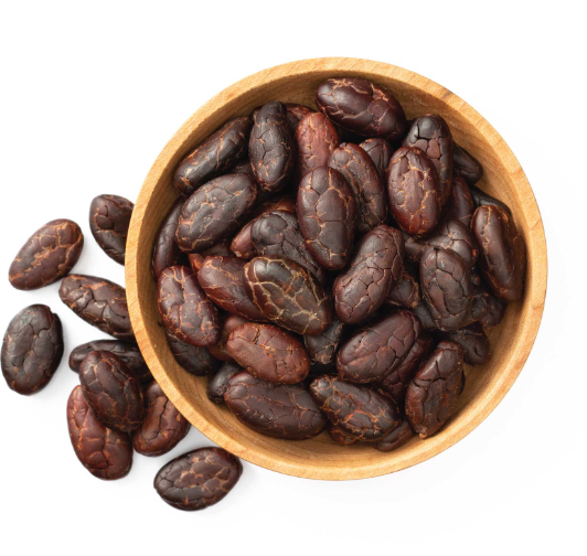 Madagascar Criollo-Only Cacao Beans (Unroasted)