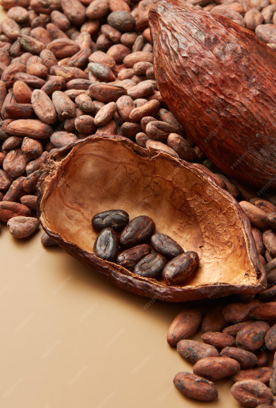 Madagascar Criollo-Only Cacao Beans (Unroasted)