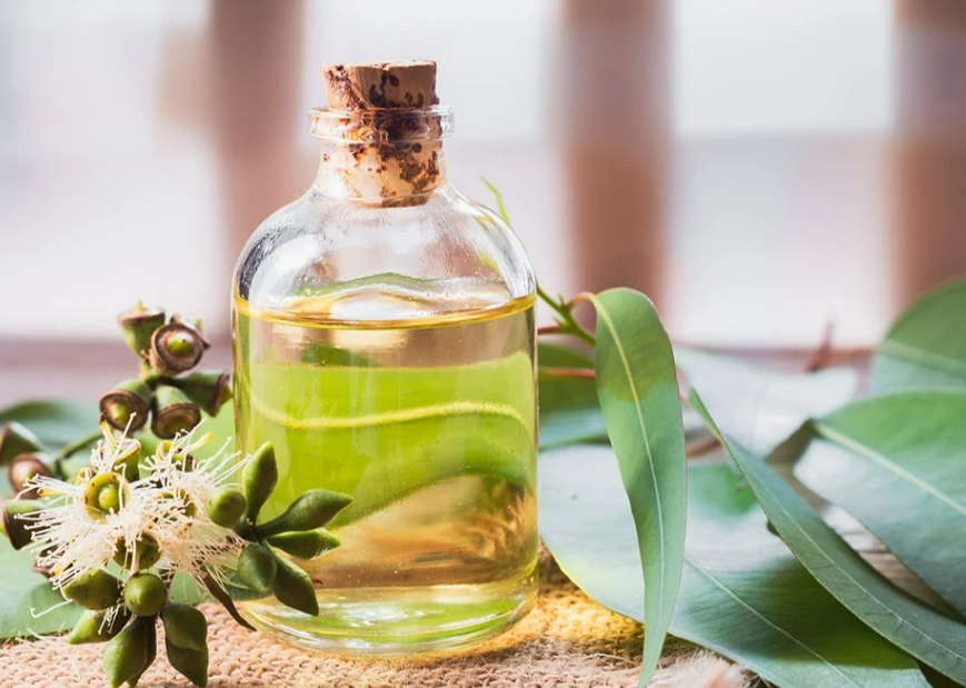 Lemon Eucalyptus Essential Oil – 100% Pure & Natural