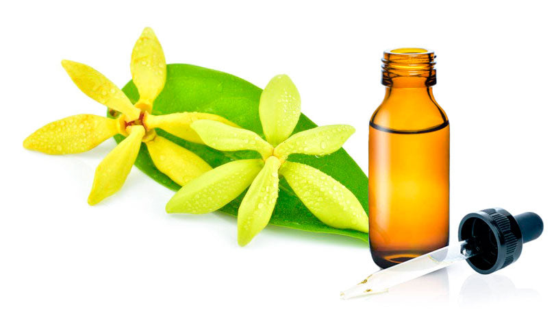 | YY - Ylang Ylang Oil Grade: Complete - Essential Oil from Madagascar Healthy Flowers