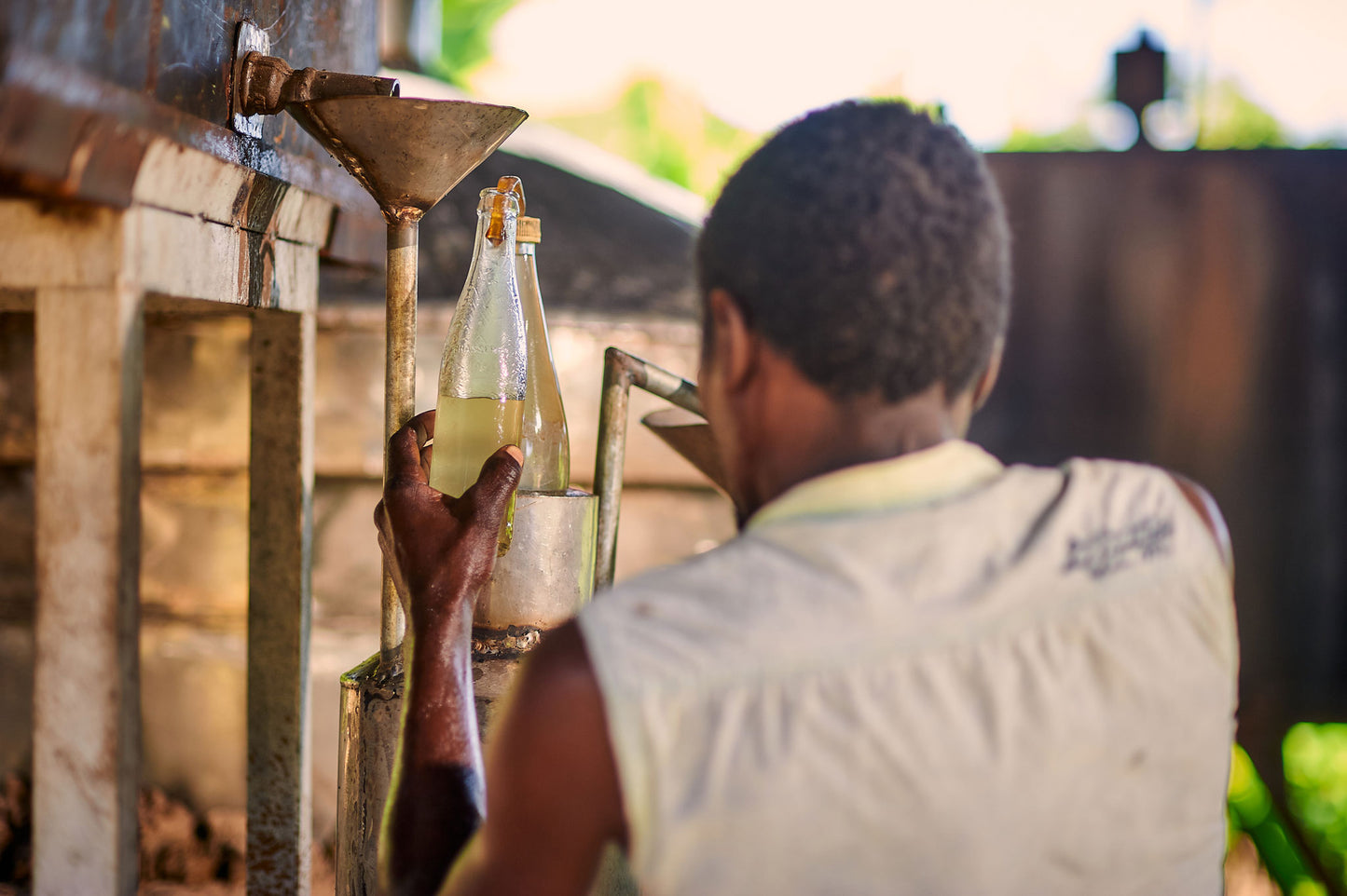 | YY - Ylang Ylang Oil Grade: 1 - Essential Oil from Madagascar Healthy Flowers