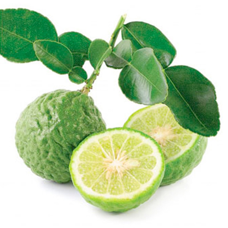 Combava Zest - 100% Natural Premium Spice