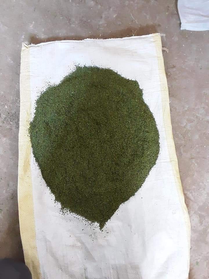 100% Pure Mentha - Piperita (Peppermint) Leaves – Ground Powder
