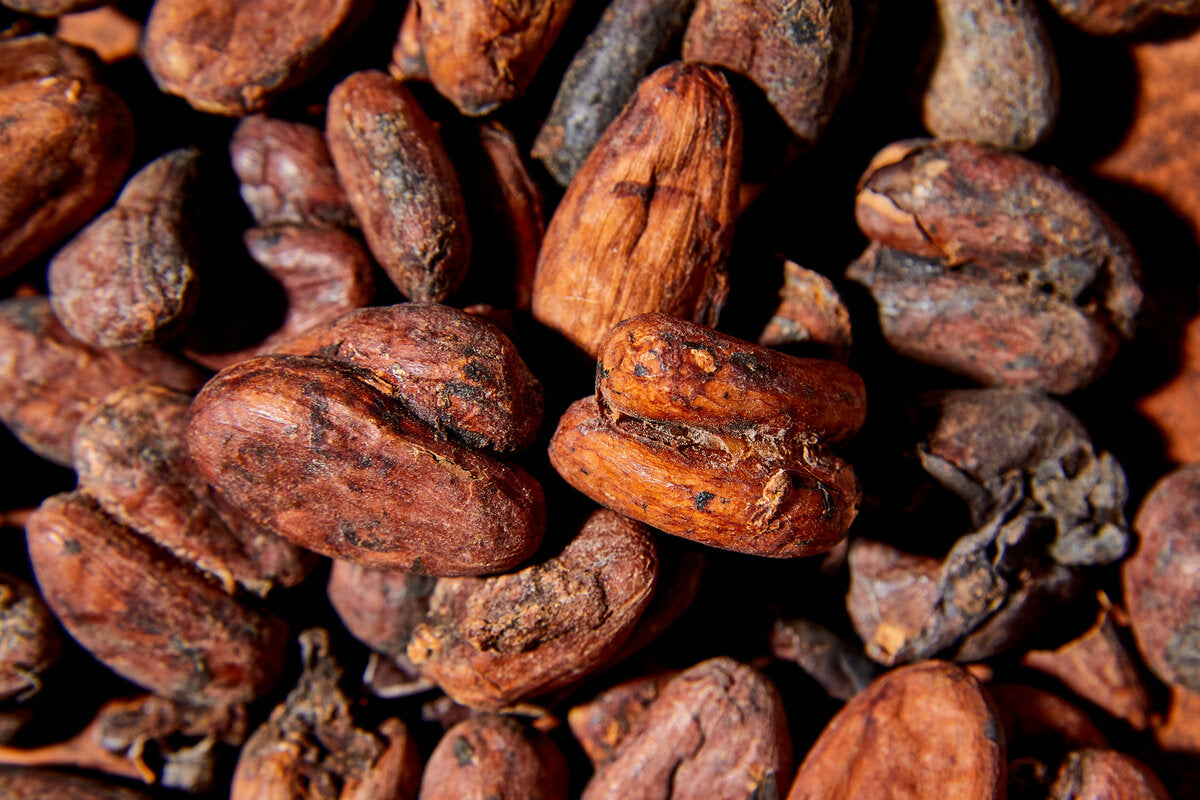 Madagascar Cacao Beans (Unroasted)