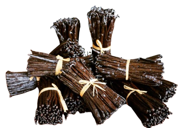 100% Pure Vanilla Excellent Extract Organic - Madagascar-Made Bourbon Liquid Vanilla (From Grade A Madagascar Vanilla Beans)