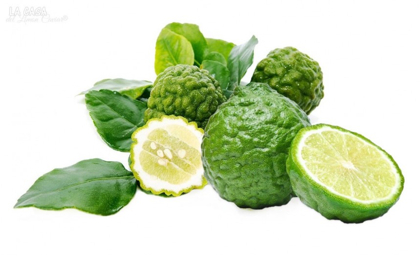 Combava Zest - 100% Natural Premium Spice