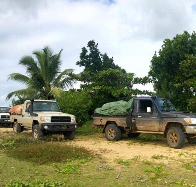 Madagascar Grade A Bourbon Vanilla Beans | Organic Select  (With Our Own Farm Tattoos & Top-Rated Taste)