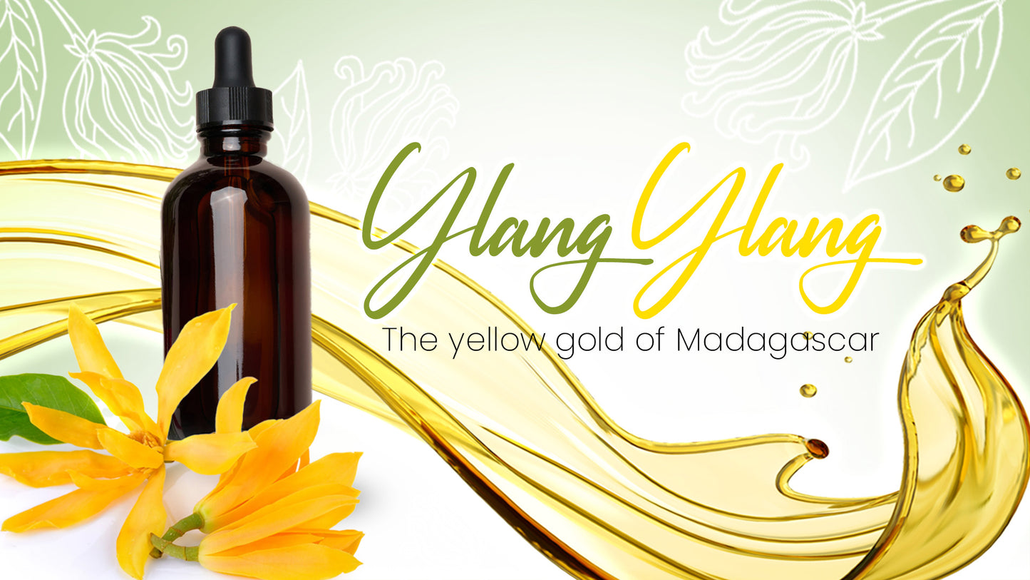 | YY - Ylang Ylang Oil Grade: 1 - Essential Oil from Madagascar Healthy Flowers