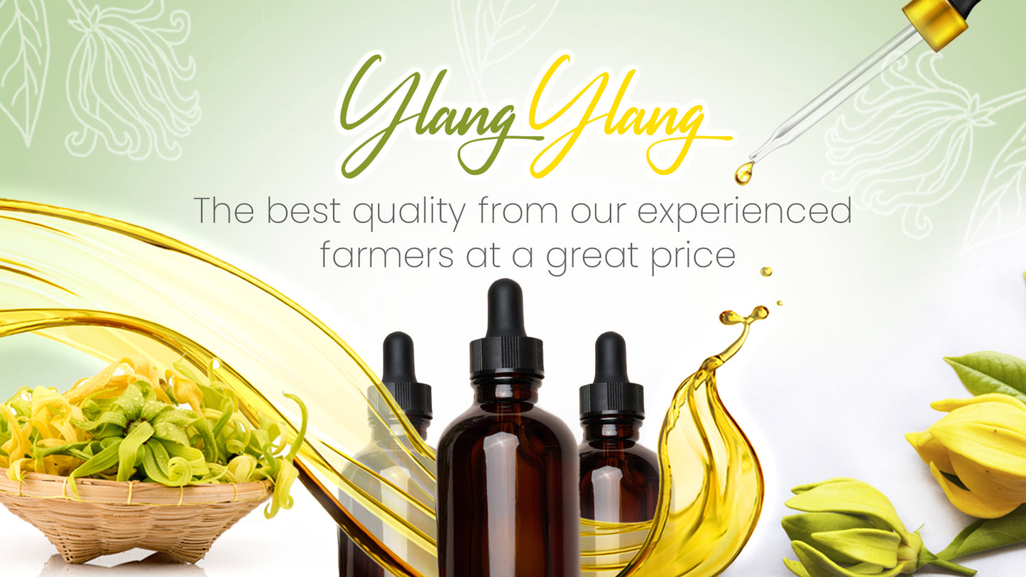 | YY - Ylang Ylang Oil Grade: 3 III - Essential Oil from Madagascar Healthy Flowers